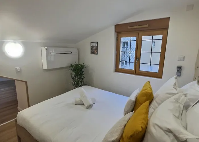 Plein Centre 8pers 4ch 2sdb, Terrasse, Billard Roe * Angers